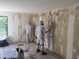 Best Mold Remediation for Healthcare Facilities  in Aurora, IL